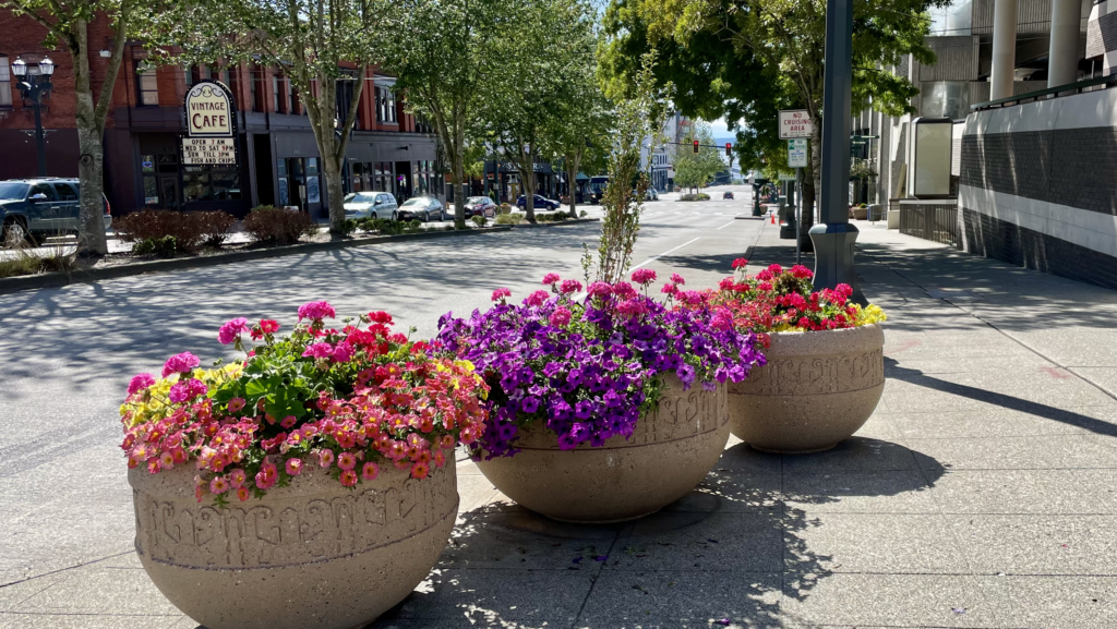 Planting Day – Downtown Everett Association